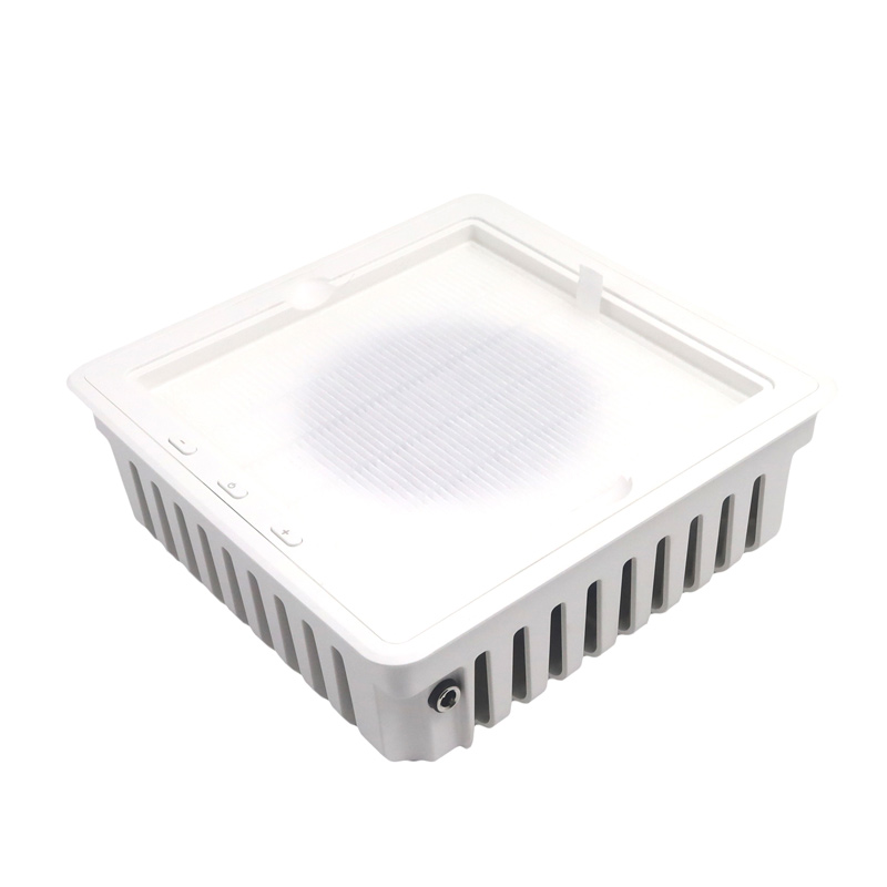 Profesyonel Tırnak Toz Çıkarıcı